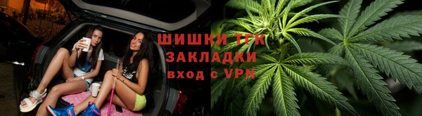 альфа пвп Новодвинск