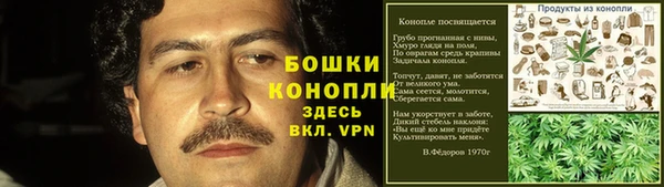 не бодяженный Новозыбков
