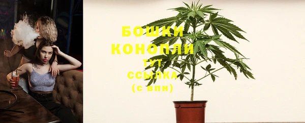 альфа пвп Новодвинск