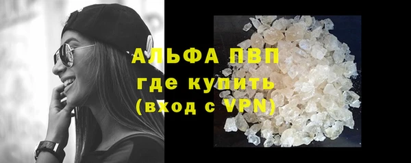 альфа пвп Новодвинск